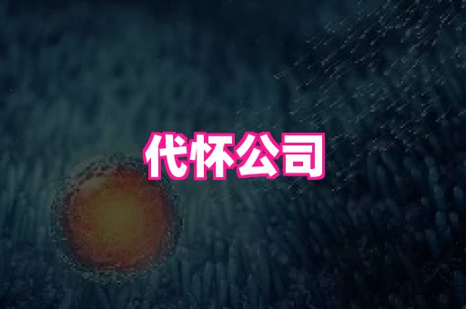 nub孕网 1
