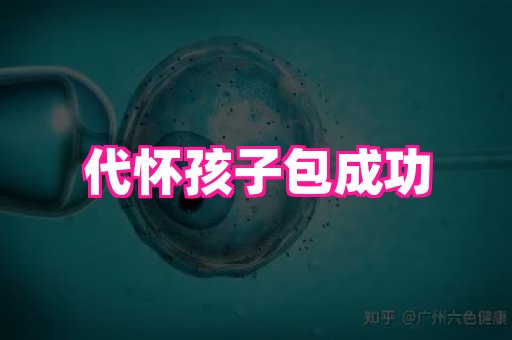 nub孕网 2